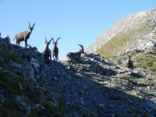 ...scampagnata domenicale al Bussaia....