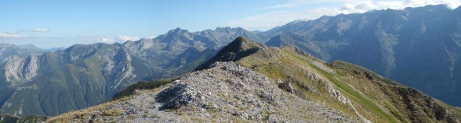 Panoramica dal Bussaia