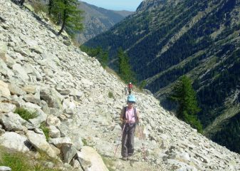 sentiero di salita. grazie alla pendenza costante la fatica non è mai eccessiva nonostante il sole