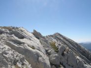 Il tratto finale della cresta
