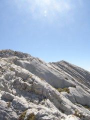 Dalla Cresta