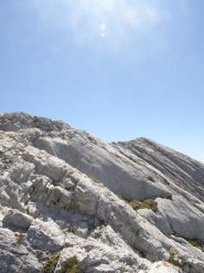 Dalla Cresta