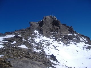cuspide finale