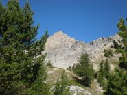 La cima all'uscita del Bosco del Rouas