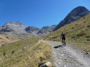 Greggi verso i baraccamenti