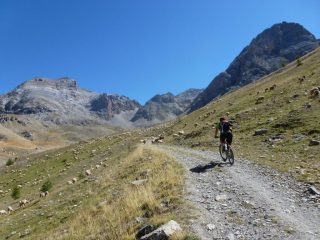 Greggi verso i baraccamenti