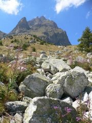 Il Chersogno