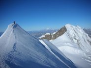 la crestina sommitale della Parrot