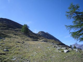 in vista del Paillasse e della Chamoussiere
