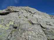ampie placche di cresta