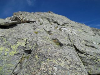 ampie placche di cresta