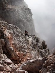 la nebbia ci insegue
