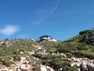 rif. Tissi