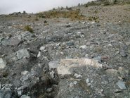 traccia di sentiero per Cima Piana