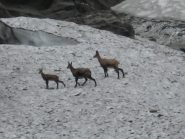 un vero spettacolo a pochi metri