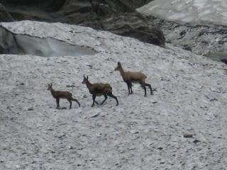 un vero spettacolo a pochi metri