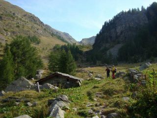 superato il bosco
