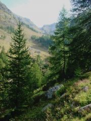 il vallone di Valdobbia