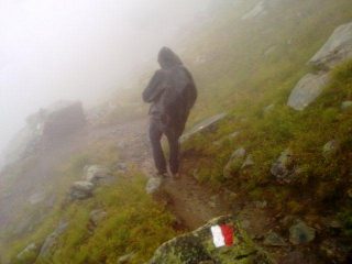 gorilla nella n'bbia: il peggio momento