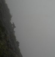 Vagolando nelle nebbie