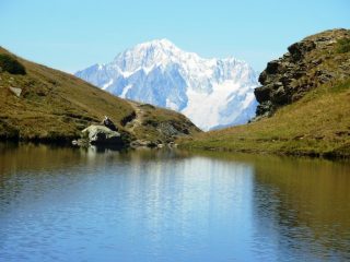 zoom sul bianco dal lago