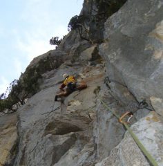 L4: muro 