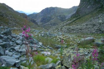 Vista verso il fondo valle