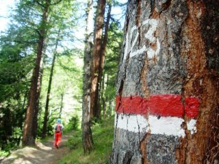 primo tratto nel bosco sopra p. teppe