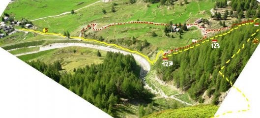 inizio del percorso for dummies