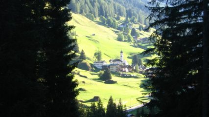Scorci dal bosco....