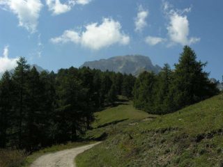 In salita