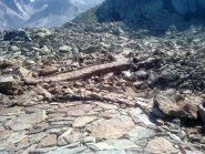 spettacolo di mulattiera!