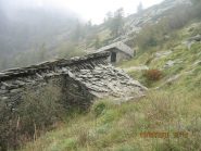 alpe 