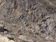 Al centro della foto il canalino di salita