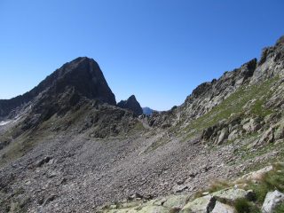 Bassa del Drous