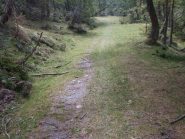 massimo confort in questo tratto