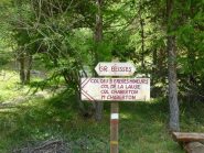 Inggresso pineta di larici 