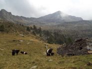  I ruderi dell'Alpe Canee 