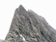 Al colle Testa nera punta aguzza