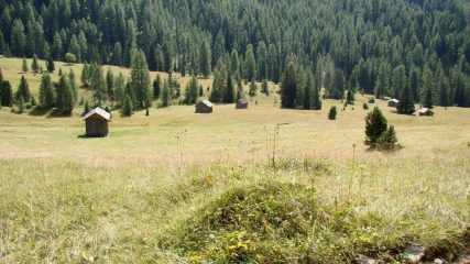 Fienili a fondovalle
