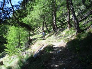 tratto sul sentiero n. 1  ...