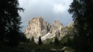 Uscendo dal bosco...