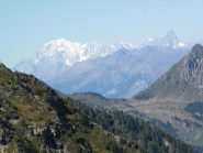 Monte Bianco e Grandes Jorasses dalla vetta