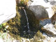 Fonte Ranna