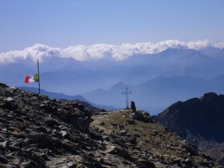stambecchi vicino al Bivacco sulla Pinter...