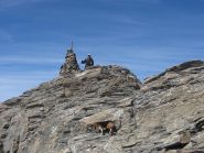 Flick in avancosperta