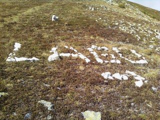 spettacolo di indicazione  :)