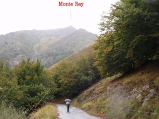 il Ray