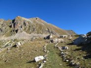 Il Monte Aver e la bella mulattiera