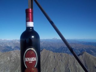 uno sguasdo verso il Monviso